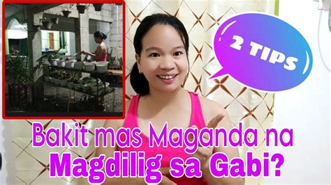 Gabi Kung Magdilig Ang Hardinero 2 .